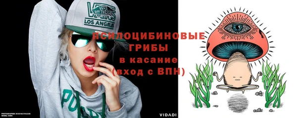 метадон Ладушкин