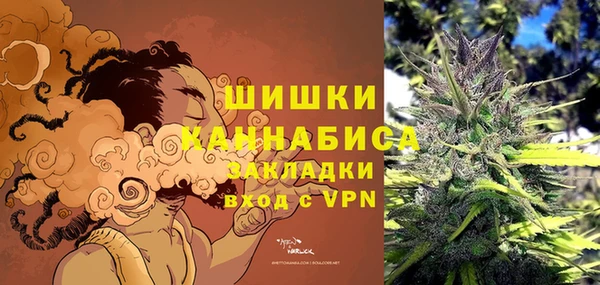 ПСИЛОЦИБИНОВЫЕ ГРИБЫ Липки