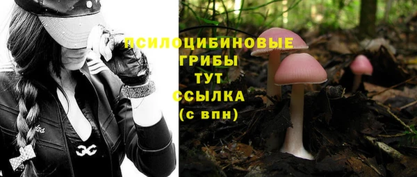 гашиш Лабытнанги